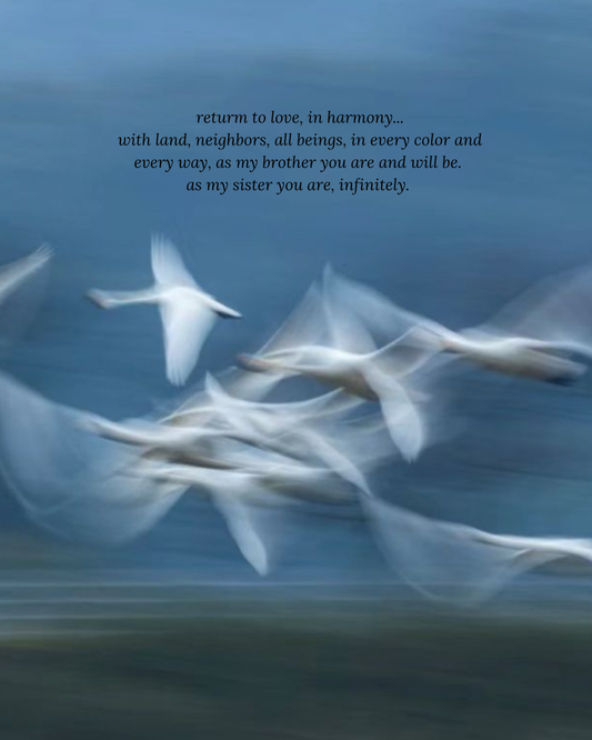 Support Site-Specific Studies